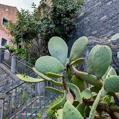 Il Cuore Di Lavika Sea House